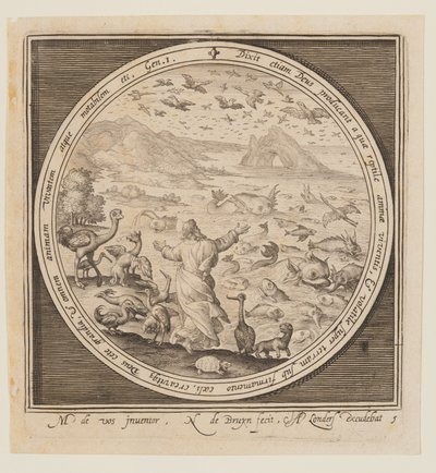 Cinquième jour : La création des oiseaux et des poissons, de la création à l