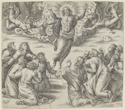 Ascension - Nicolas Beatrizet