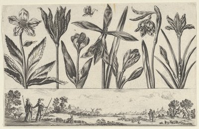 Panneau horizontal avec une rangée de fleurs au-dessus d