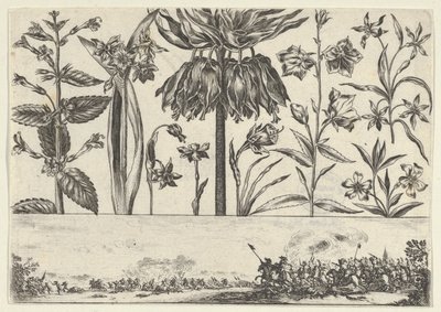 Panneau horizontal avec une rangée de fleurs au-dessus d