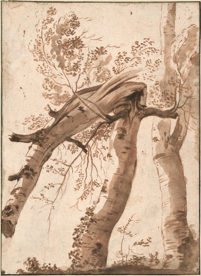 Deux bouleaux argentés, le premier tombé - Nicolas Poussin