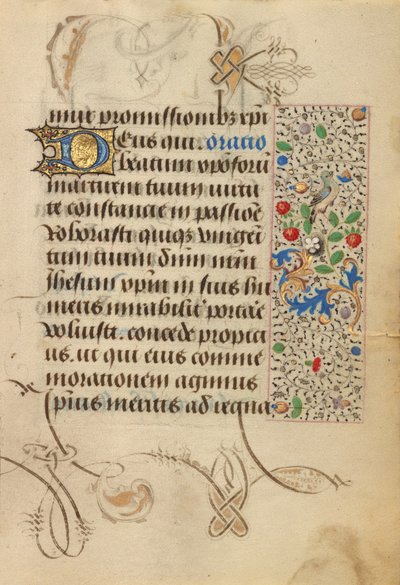 Page de texte décorée - Nicolas Spierinc