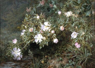 Étude de roses sauvages, vers 1900 - Niels Pieter Rasmussen