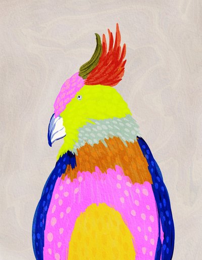 Perroquet tropical aux couleurs vives - Nikita Jariwala