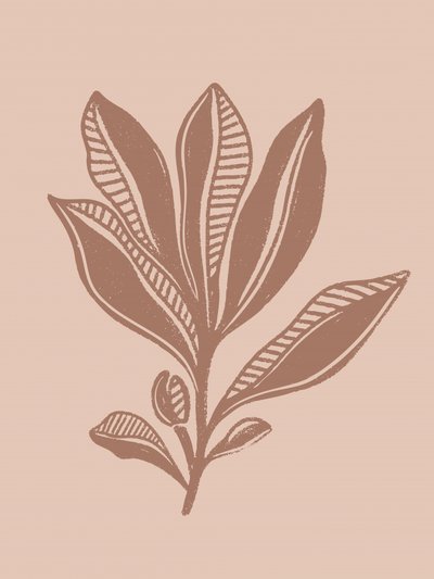 Dessin botanique naturel - Nikita Jariwala