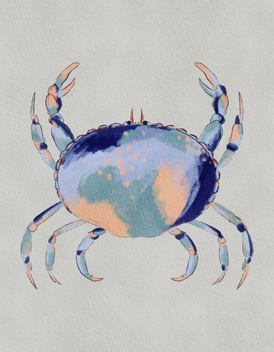 Le crabe bleu serein - Nikita Jariwala