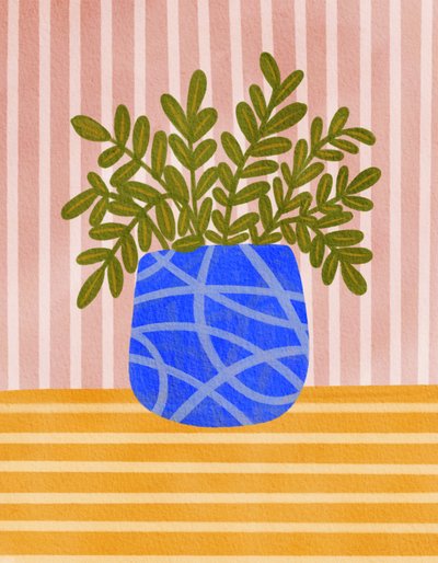 Plante d