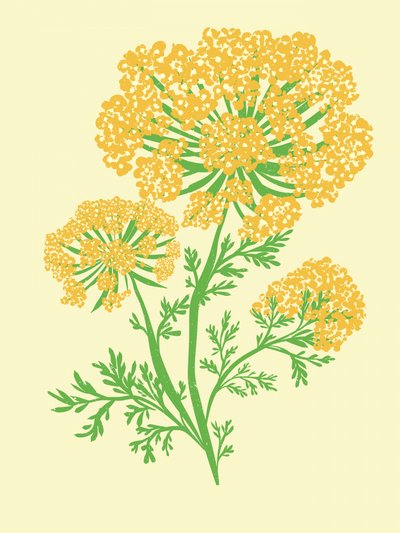 Ombelle jaune vif - Nikita Jariwala
