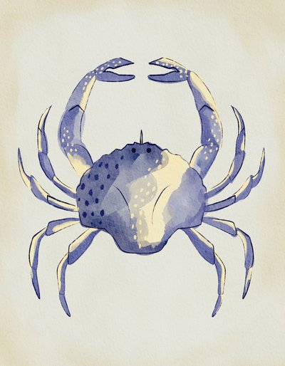 Crabe bleu à l