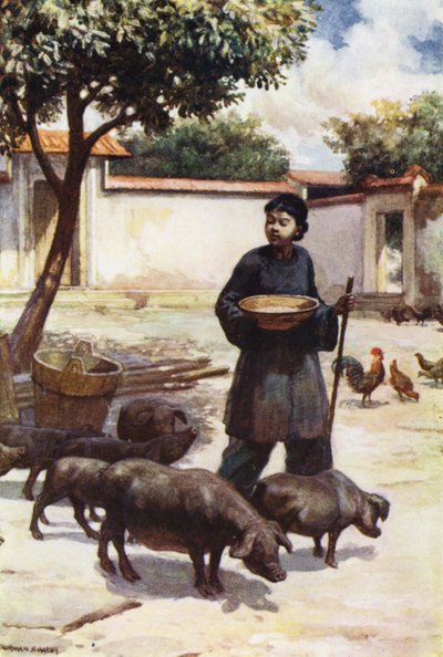 Chine : Une cour - Norman Hardy