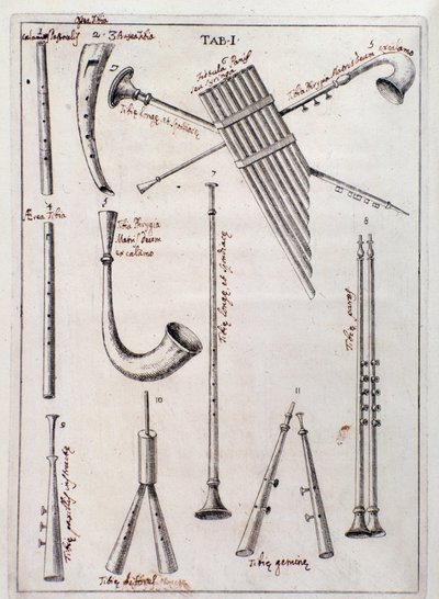 Instruments à vent. Page de « de Tribus Generibus Instrumentorum Musicae Veterum », ouvrage sur les anciens instruments par Francesco Bianchini - Northern Italian School