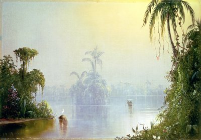 Brume tropicale, 1879 - Norton Bush