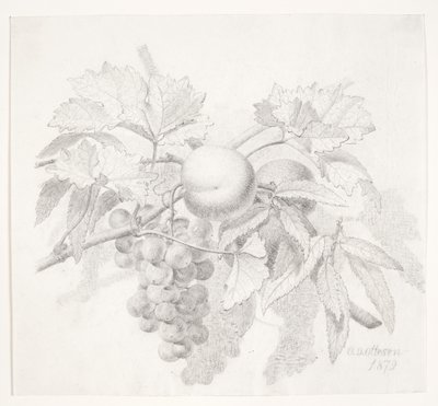 Raisins et pêches - O.D. Ottesen