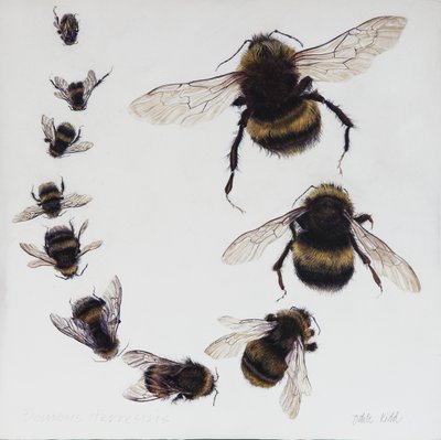 Bombus, 2015 (acrylique sur bois gesso) - Odile Kidd