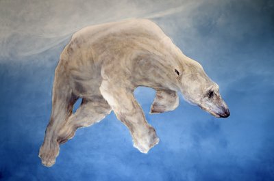 Ursus maritimus 2 (acrylique sur lin gesso) - Odile Kidd