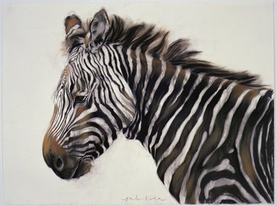 Zèbre, 2002 (fusain et craie) - Odile Kidd