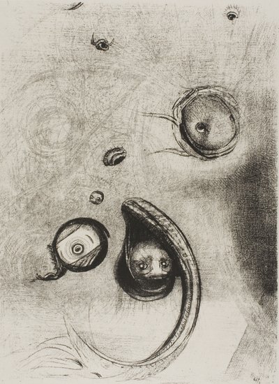 Et que des yeux sans têtes flottaient comme des mollusques, planche 13 de 24 - Odilon Redon