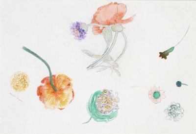  - Odilon Redon