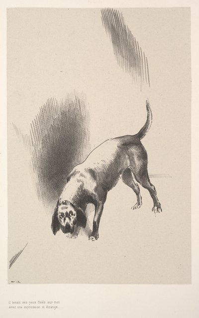 Il fixa ses yeux sur moi avec une expression si étrange - Odilon Redon