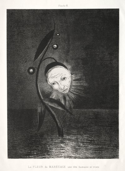 Hommage à Goya: La fleur des marais, une tête humaine triste, 1885 - Odilon Redon