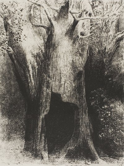 Je me suis plongé dans la solitude. J