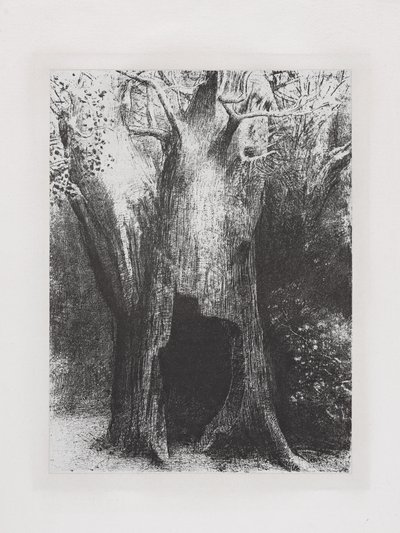 Je me suis enfoncé dans la solitude - Odilon Redon