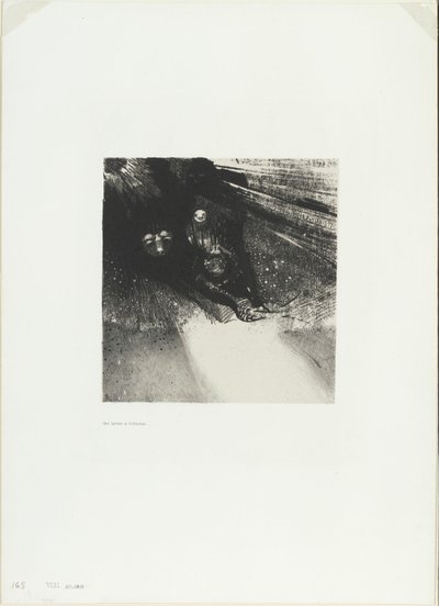Larves si exsangues et si hideuses, planche 5 de 6 - Odilon Redon
