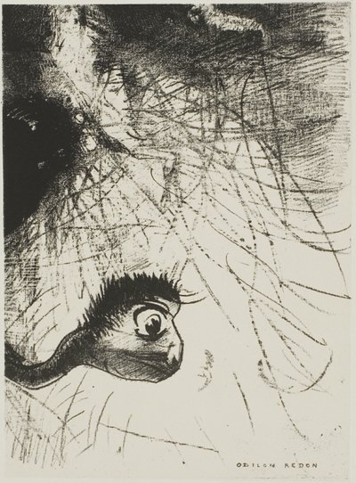 Saint Antoine : "Quelque part il doit y avoir des formes primordiales dont les corps ne sont que des images, planche 4 de 6" - Odilon Redon