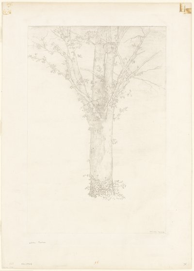 Arbre - Odilon Redon