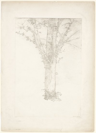 Arbre - Odilon Redon