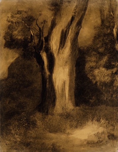 Arbre - Odilon Redon