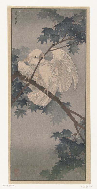 Cacatoès à huppe jaune dans un arbre - Ohara Koson (attributed to)