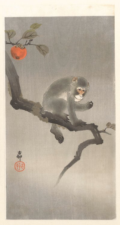 Singe dans un kaki - Ohara Koson