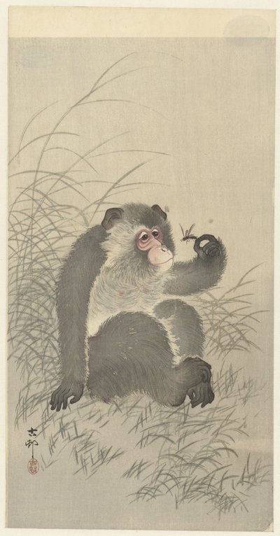 Singe avec insecte - Ohara Koson