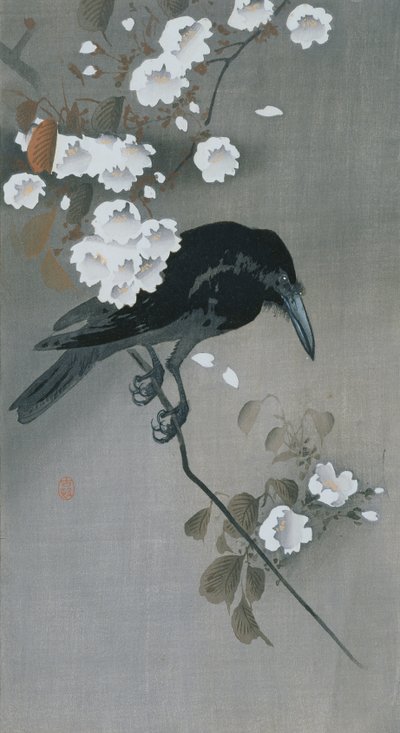 Corbeau sur une branche de cerisier en fleurs - Ohara Koson