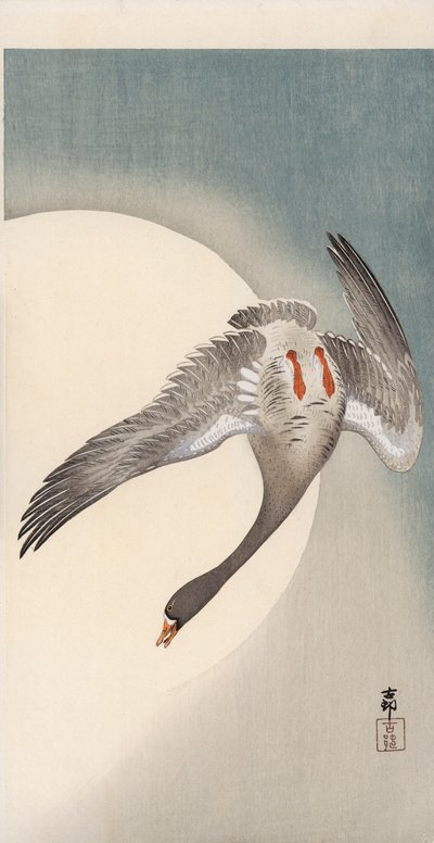 Oie à front blanc en vol vue de dessous devant la lune - Ohara Koson