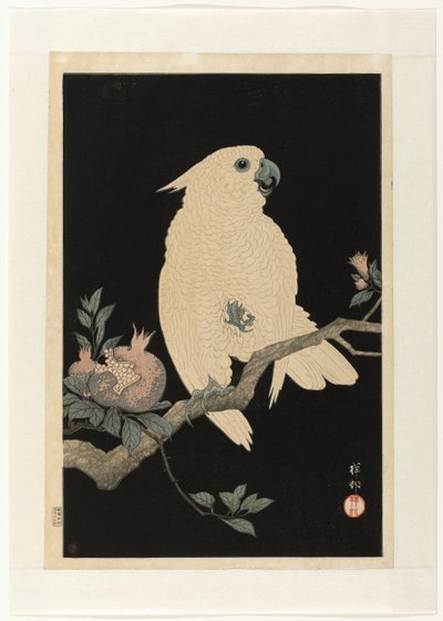 Cacatoès avec grenade - Ohara Koson