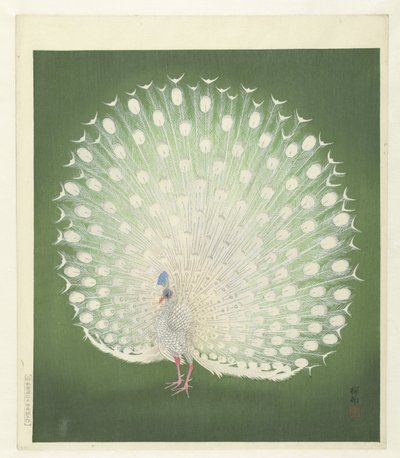 Paon - Ohara Koson