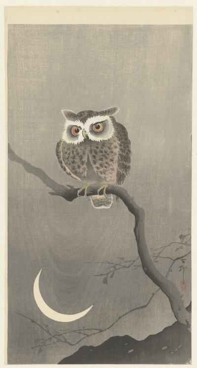 Petit-duc sur une branche avec croissant de lune - Ohara Koson