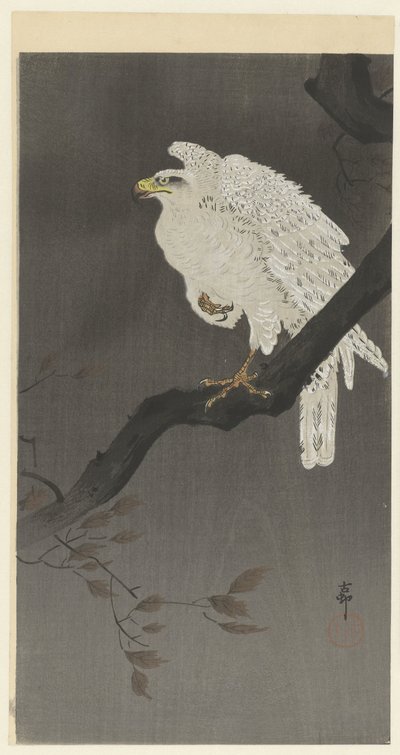 Aigle des neiges sur une branche - Ohara Koson