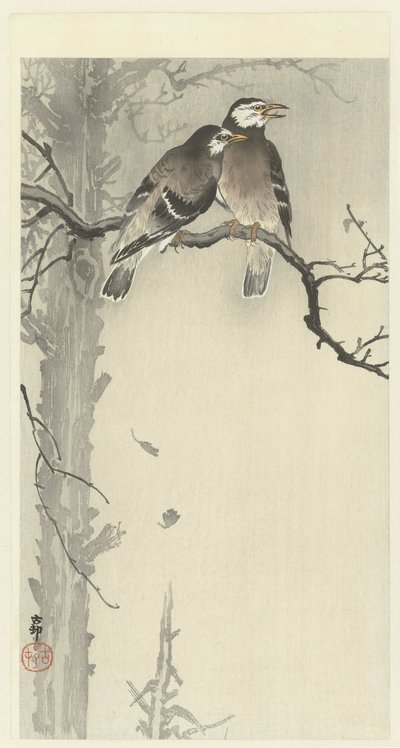 Deux étourneaux gris - Ohara Koson