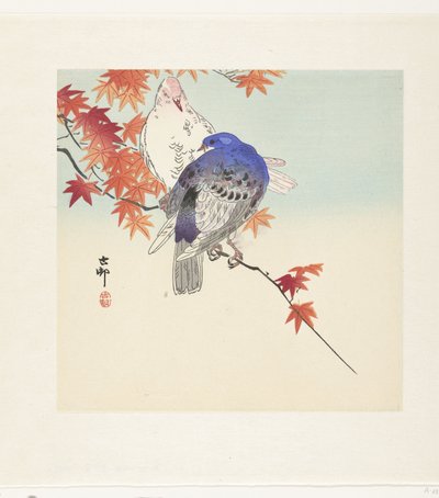 Deux pigeons sur une branche avec des feuilles d