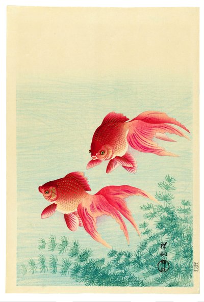 Deux poissons rouges à queue voilée - Ohara Koson