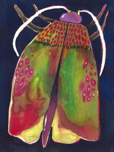 Papillon de nuit - Olga Skomorokhova