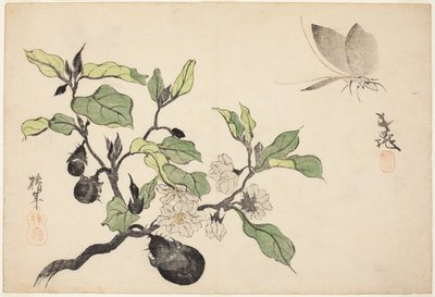 Aubergines avec fruits et fleurs - Onishi Chinnen
