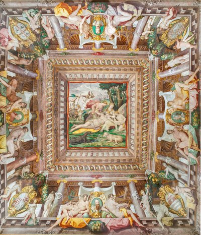 Vue du plafond de la Salle d