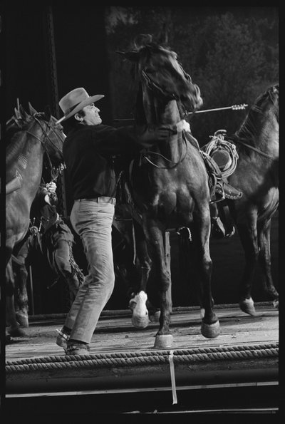 Gregory Peck avec un cheval sur le plateau de 