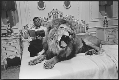 Tony Randall avec un lion (Zamba), sur le plateau de 