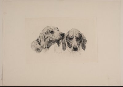 Danois : Deux têtes de chien - Otto Bache