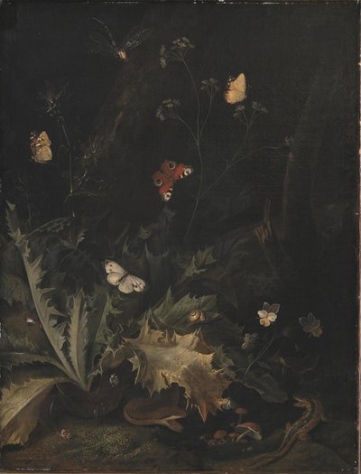 Un Sol Forestier avec un Chardon, un Serpent, un Lézard et des Papillons - Otto Marseus  van Schrieck